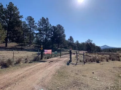 4575 Doe Vly, Guffey, CO 80820 photo 39