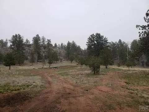 4575 Doe Vly, Guffey, CO 80820 photo 42