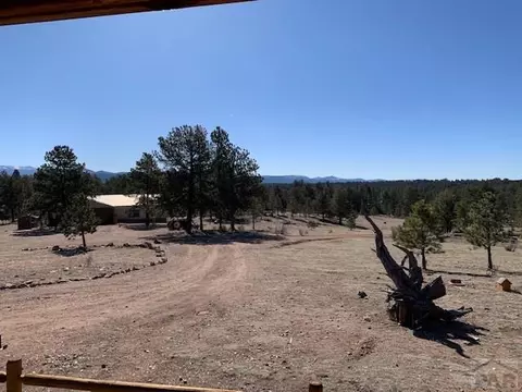 4575 Doe Vly, Guffey, CO 80820 photo 38