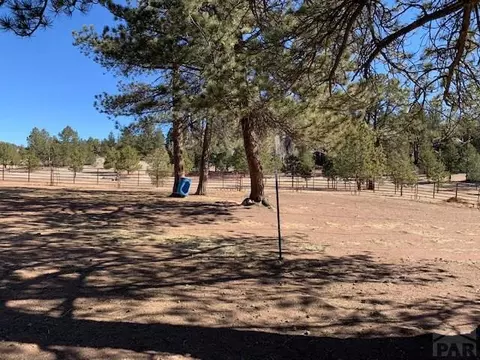 4575 Doe Vly, Guffey, CO 80820 photo 37