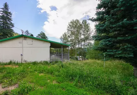 221 County Rd 370, Rye, CO 81069 photo 30