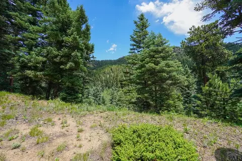 221 County Rd 370, Rye, CO 81069 photo 34