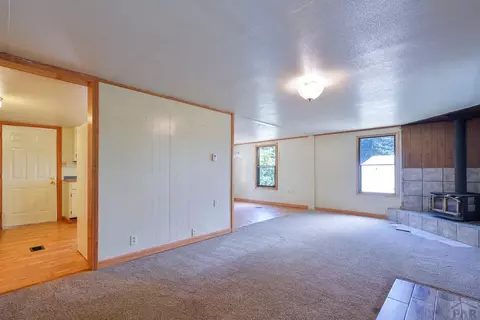 221 County Rd 370, Rye, CO 81069 photo 5