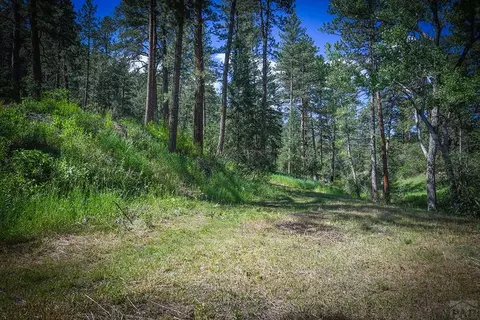 9017 Pine Ave, Beulah, CO 81023 photo 4