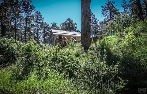 9017 Pine Ave, Beulah, CO 81023 photo 6
