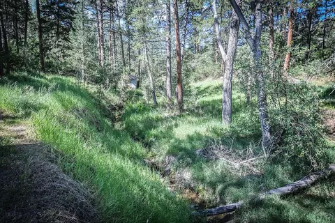 9017 Pine Ave, Beulah, CO 81023 photo 2