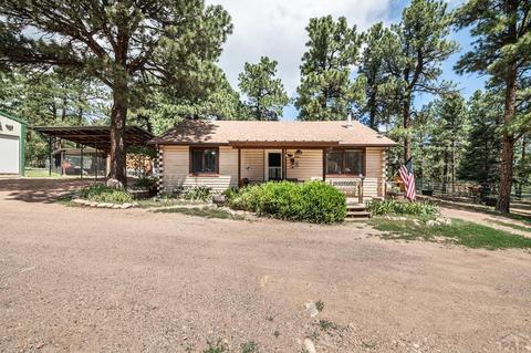 8181 Maple Dr, Rye, CO 81069 photo 1