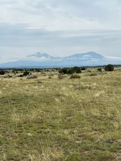 215 Greenhorn Vlg, Walsenburg, CO 81089