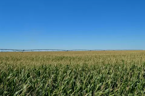 Na State Hwy 89, Holly, CO 81047