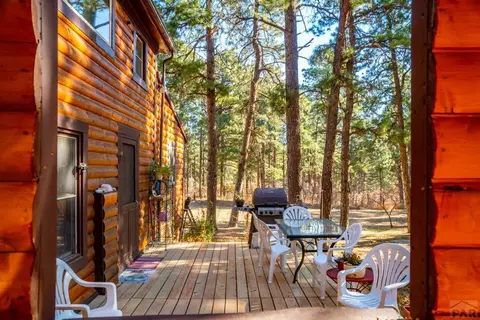 8281 Green Tower Rd, Rye, CO 81069 photo 3