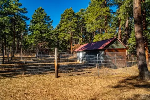 8281 Green Tower Rd, Rye, CO 81069 photo 6