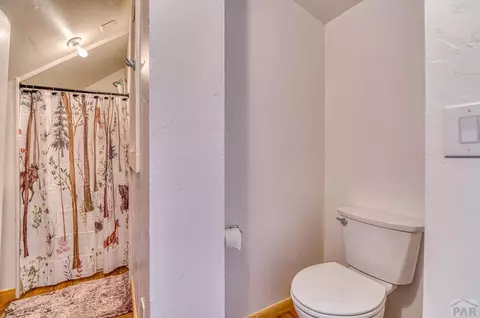 8281 Green Tower Rd, Rye, CO 81069 photo 25