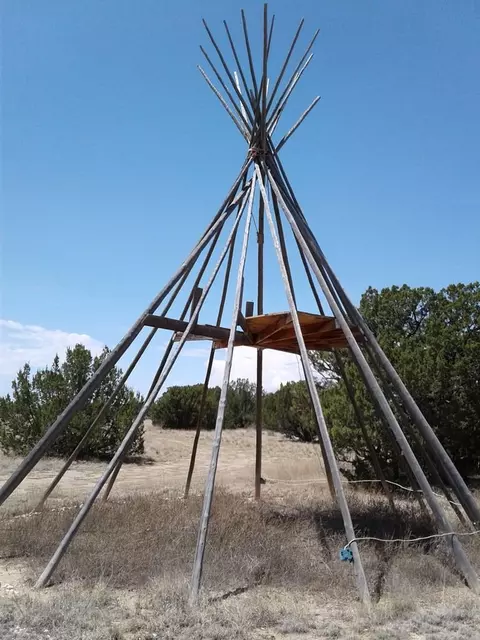 39100 Bear Springs Rd, Model, CO 81059 photo 15
