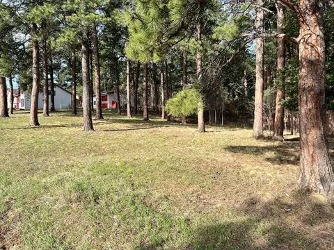 10189 Singer Ln, Rye, CO 81069 photo 46