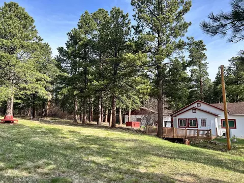 10189 Singer Ln, Rye, CO 81069 photo 32
