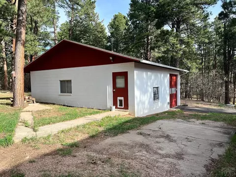 10189 Singer Ln, Rye, CO 81069 photo 33