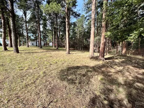 10189 Singer Ln, Rye, CO 81069 photo 38