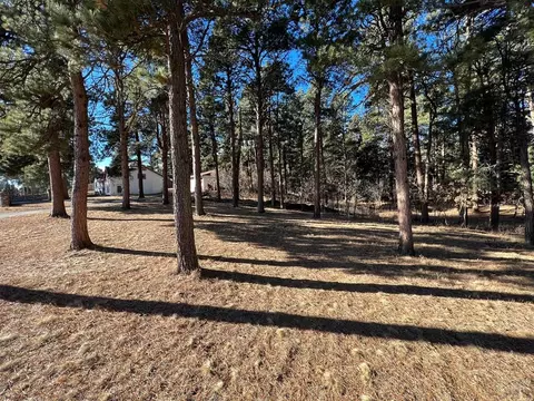 10189 Singer Ln, Rye, CO 81069 photo 42