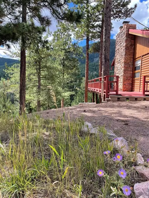 121 St Charles Dr, Rye, CO 81069 photo 3