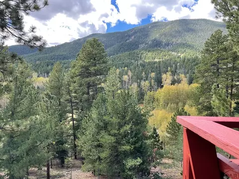 121 St Charles Dr, Rye, CO 81069 photo 33