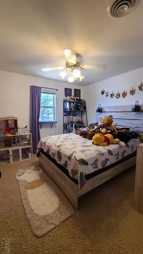 901 W 8th Ave, Springfield, CO 81073 photo 18