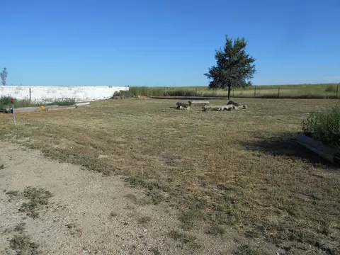 214 E 22nd St, La Junta, CO 81050 photo 23