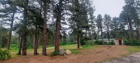 8160 Birch Dr, Rye, CO 81069 photo 43