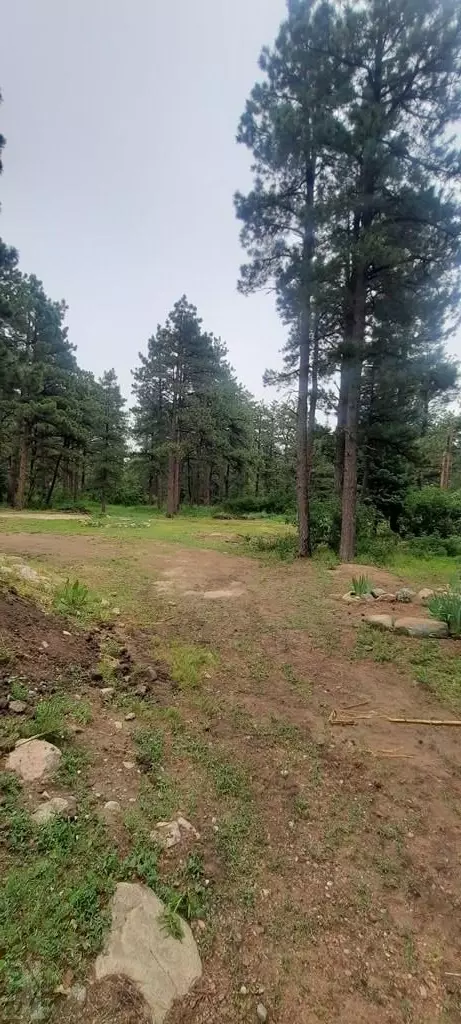 8160 Birch Dr, Rye, CO 81069 photo 45