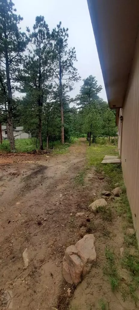 8160 Birch Dr, Rye, CO 81069 photo 46