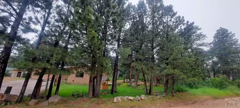 8160 Birch Dr, Rye, CO 81069 photo 9