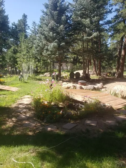 8160 Birch Dr, Rye, CO 81069 photo 10
