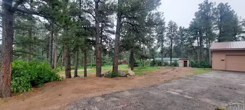 8160 Birch Dr, Rye, CO 81069 photo 5