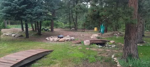 8160 Birch Dr, Rye, CO 81069 photo 42