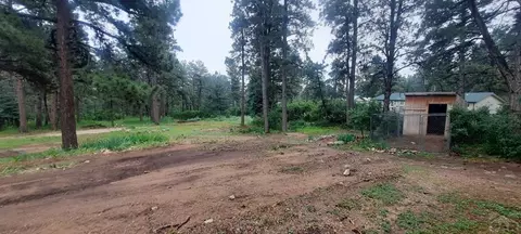 8160 Birch Dr, Rye, CO 81069 photo 44