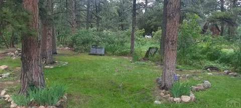 8160 Birch Dr, Rye, CO 81069 photo 41