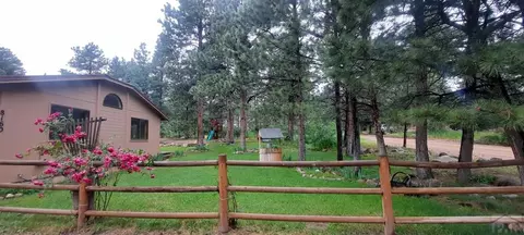 8160 Birch Dr, Rye, CO 81069 photo 4