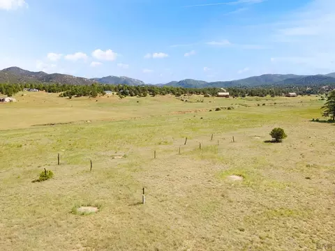 90 Harmon Ln, Cotopaxi, CO 81223 photo 1
