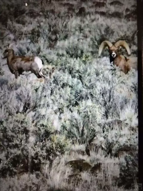 47875 V Rd, De Beque, CO 81630 photo 60