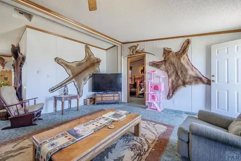 47875 V Rd, De Beque, CO 81630 photo 44