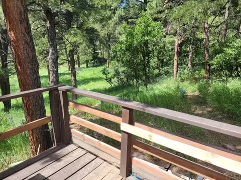 8287 Cuerna Verde Rd, Rye, CO 81069 photo 48
