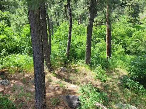 8287 Cuerna Verde Rd, Rye, CO 81069 photo 51