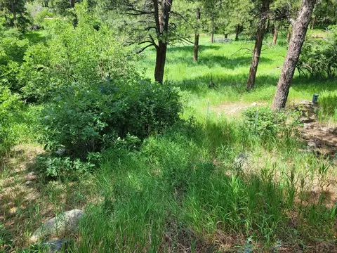 8287 Cuerna Verde Rd, Rye, CO 81069 photo 52