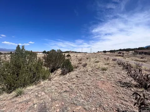 835 Evans Ave, Rockvale, CO 81244 photo 33