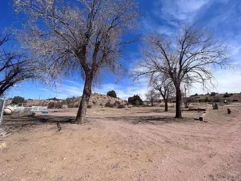 835 Evans Ave, Rockvale, CO 81244 photo 32
