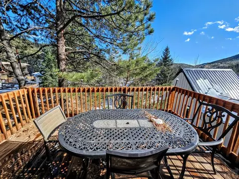 60 Cedar St, Rye, CO 81069 photo 5