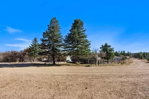 8148 Patti Dr, Rye, CO 81069 photo 24