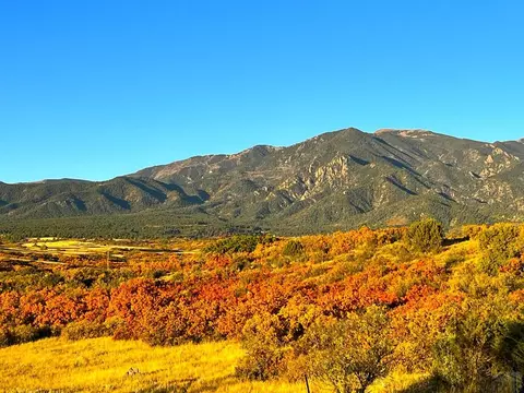 10500 Dodge Rd, Rye, CO 81069 photo 15