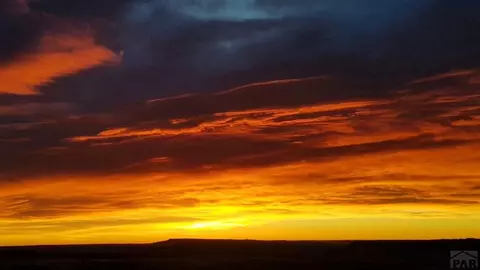 10500 Dodge Rd, Rye, CO 81069 photo 21