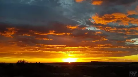 10500 Dodge Rd, Rye, CO 81069 photo 22