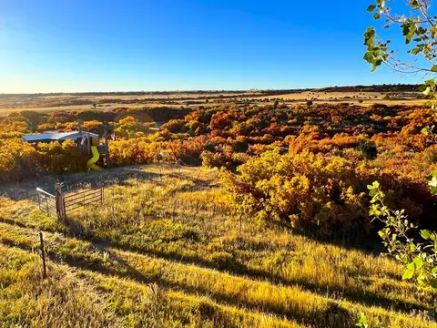 10500 Dodge Rd, Rye, CO 81069 photo 19